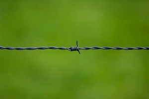sécurité des sites WordPress: barbelé oligatoire ?
