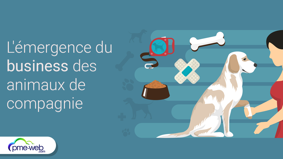 https://www.pme-web.com/wp-content/uploads/2021/12/business-animaux-compagnie.png