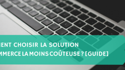 Comment-choisir-la-solution-e-Commerce-la-moins-coûteuse-Guide-Titre.png